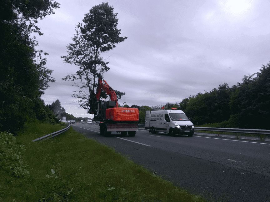 rennes_abattage_elagage_en_bord_de_route_DIRO.png