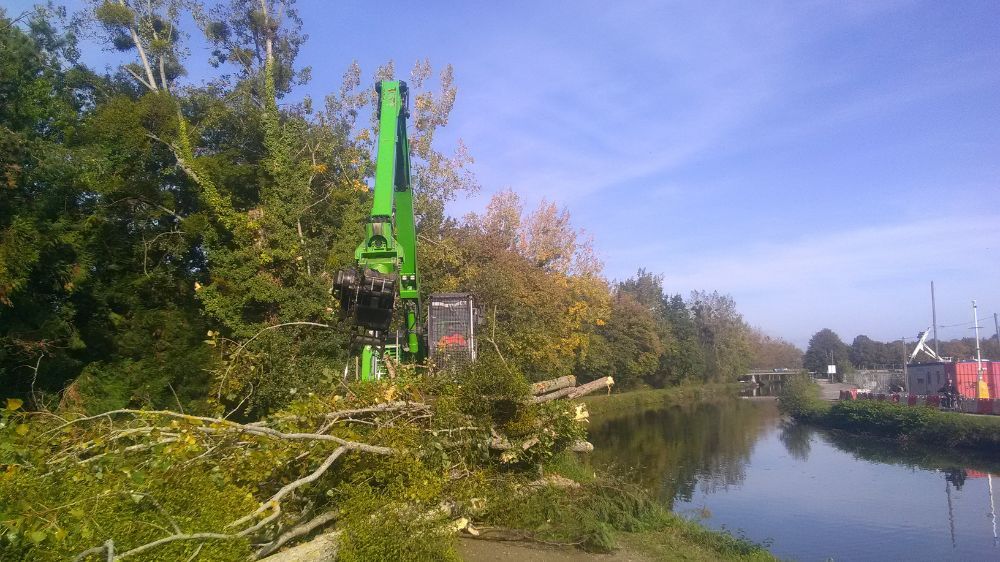 Abattage d'arbres Serpe Rennes.jpg